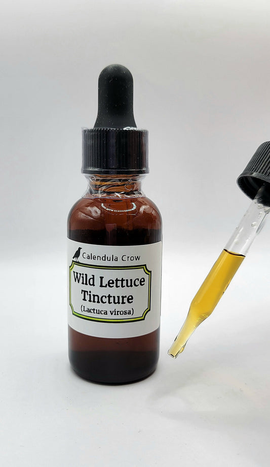 WILD LETTUCE TINCTURE - Lactuca virosa Extract - All Natural Pain Relief